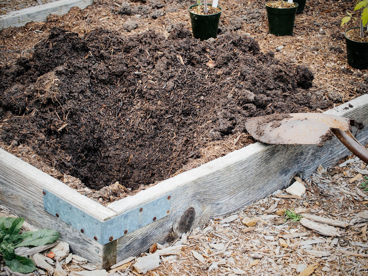 Dig a foot-deep hole